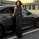 Women Clothing Solid Color Half Collar Slim Fit Sexy Metal Frog Button Dress