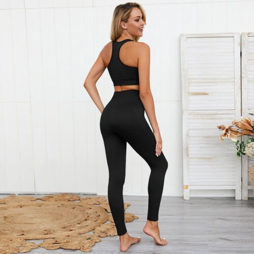 SEAMLESS LONG SLEEVE YOGA SPORT SUIT