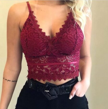 Sexy Lace Triangle Cup Wireless Backless Bra for Women
