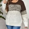 Colorblock Harmony Round Neck Plus Size Sweater
