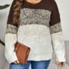Colorblock Harmony Round Neck Plus Size Sweater