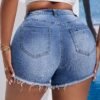 Plus Size High-Waist Floral Embroidered Denim Shorts