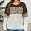 Colorblock Harmony Round Neck Plus Size Sweater