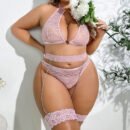 Plus Size Lace Embroidered Mesh Lingerie Set