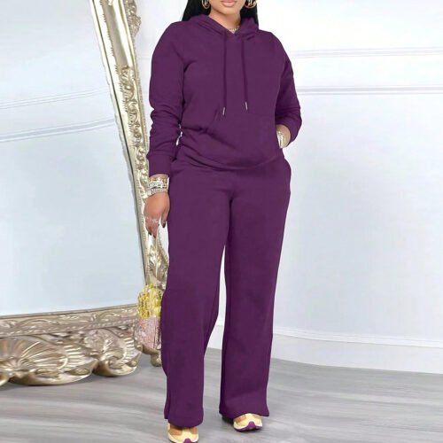 Casual Hooded Sweater & Solid Trousers Two-Piece Set