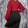 Plus Size Contrast V-Neck Slim Sheath Long Sleeve Dress